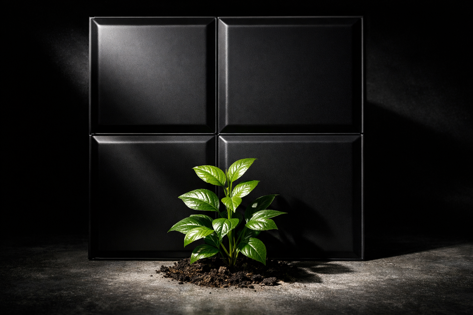 Small plant growing in front of black square tiles on a dark background.